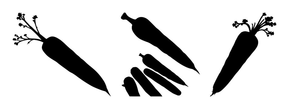 Carrot set with single black silhouette on spotless white background featuring carrot, vegetable illustration, simple line drawing with botanical and monochrome art