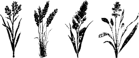 Fototapeta premium Silhouettes of wild grass plants nature botanical elements with different shapes