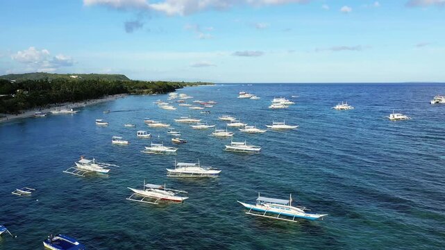 Aerial view of numerous traditional outrigger boats floating on the clear blue waters along the coastline of Panglao Island, Philippines. Lush greenery and a sandy beach line the shore under a bright