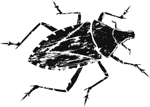 Black silhouette of a stink bug with detailed legs and body texture, insect vector illustration
