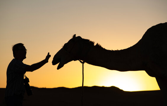 Side view silhouette of a man standing in front of a camel with an outstretched arm at sunset in the desert, Oman