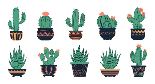 Beautiful collection of ten various cacti and succulents planted in stylish ceramic pots with intricate geometric patterns.