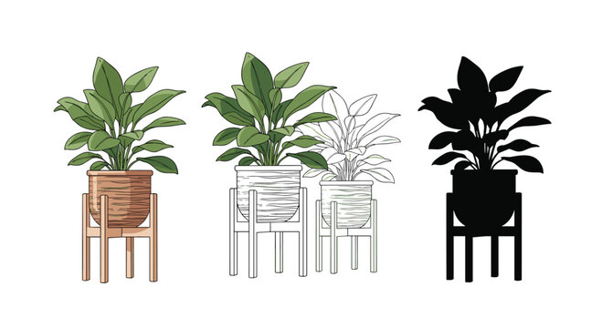 Multiple versions of a lush green houseplant in a decorative ceramic pot on a wooden stand including color and silhouette.
