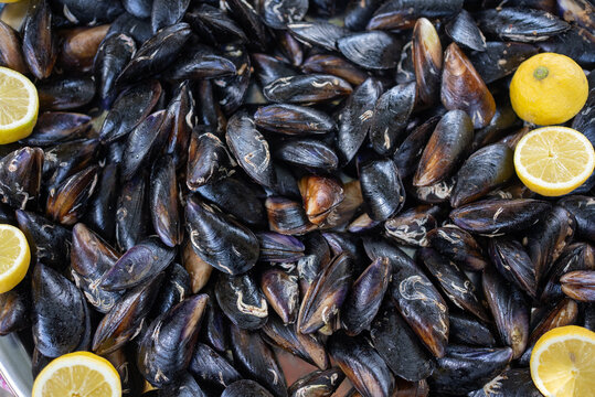 Fresh Mussels with Lemon Slices Background Seafood Texture