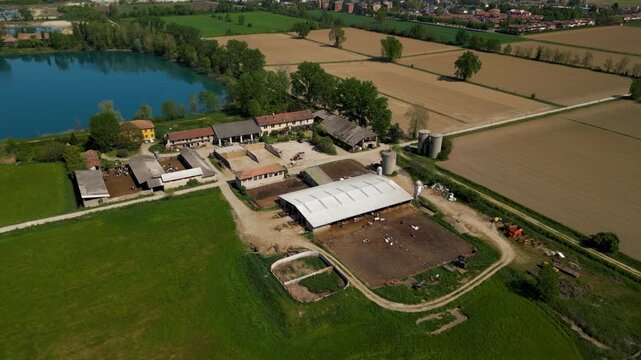 Aerial view of a dairy farm with cattle grazing near barns in Italy. Rural agricultural landscape with livestock and farm infrastructure in a natural setting.