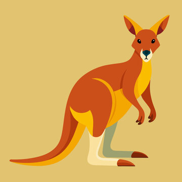 Stylized Kangaroo illustration standing against a neutral background