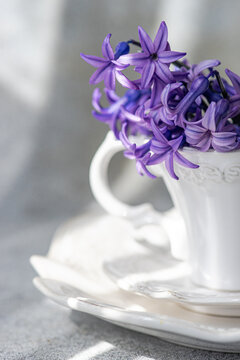 Close-up of a bunch of Blue hyacinth flowers  in a ceramic cup on a table in sunlight
