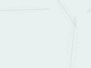 Fototapeta premium Botanical Leaf Skeleton Vein Network Organic Background