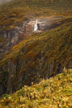 Azufrado River Canyon in the Paramo Ecosystem