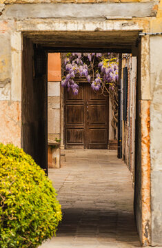Charming Venetian doorway framed by wisteria in Italy