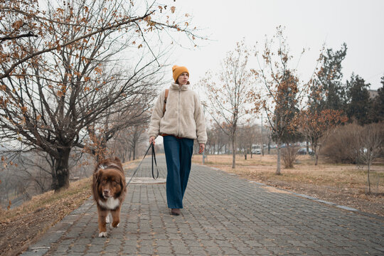 Woman walking Australian Shepherd on foggy rainy path