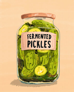 Illustrated jar of fermented pickles for probiotic gut