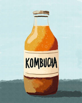 Illustrated kombucha bottle for probiotic gut health