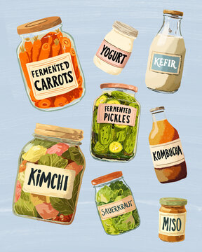 Illustration of fermented food for probiotic gut health