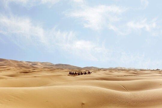 Sahara desert caravan crossing Morocco sand dunes landscape