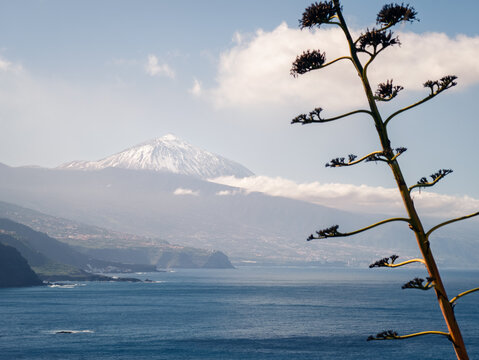 Coastal view of Teide from El Pris, Tenerife, Canarias