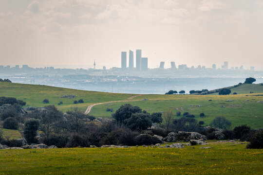 Rural meadow with distant city skyline under hazy sky