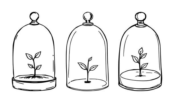 Glass cloche set with sketchy hand-drawn line art depicting a tiny sprout under a transparent dome featuring botanical, nursery, plant, illustration, plant with minimalist and botanical