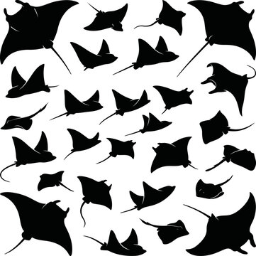 Set of various stingray and manta ray silhouettes