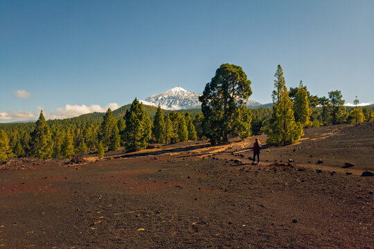 Volcanic plain with hiker and snow capped peak view
