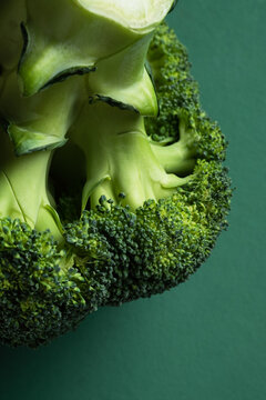 Closeup of fresh broccoli crown on dark green background