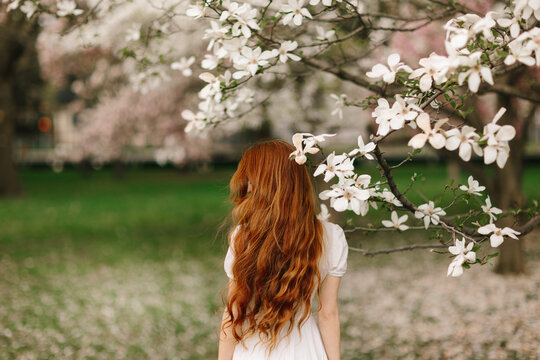Woman with red hair under blooming magnolia branch