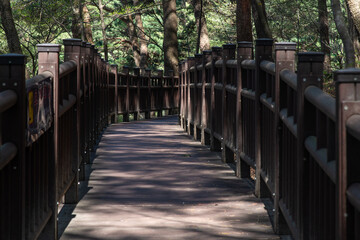 Fototapeta premium Scenic Wooden Boardwalk Footpath Through a Sunny Forest Nature Park