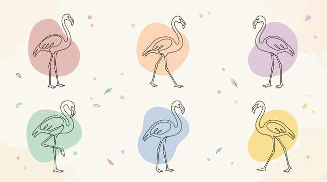 Flamingos in different colored circles standing.