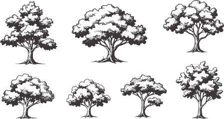 Six hand drawn dark grey trees with textured foliage and trunks white nature © Mehedi