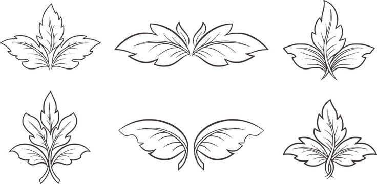 Six ornate leaf motifs in black outline white decorative botanical