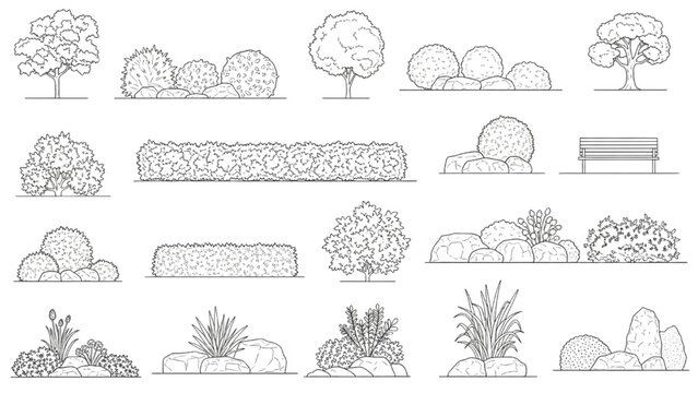 Landscape Elevation CAD Elements with Shrubs, Bushes and Benches for Architectural Garden and Park Design