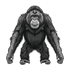 Fototapeta premium Orangutan ape standing pose in black and white style detailed portrait of a primate wild animal