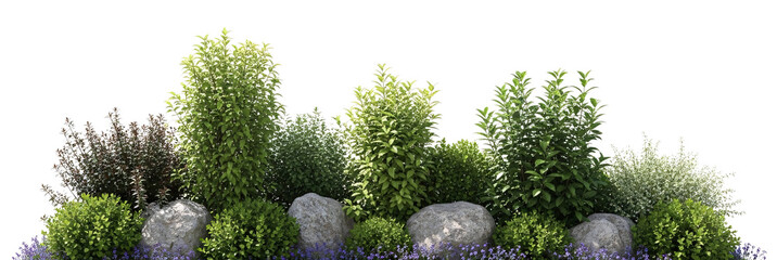 Various plants and rocks on transparent background for landscaping. © RM Graphics
