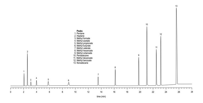 Chromatogram of esters, pentane, heptane, methyl formate