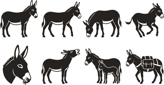 Donkey Silhouettes Vector Set | Farm Animal Livestock Icon