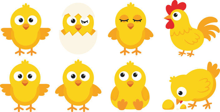 Cute yellow chick collection featuring cartoon characters hatching from egg sleeping pecking food and hen for Easter nursery and children educational vector design.