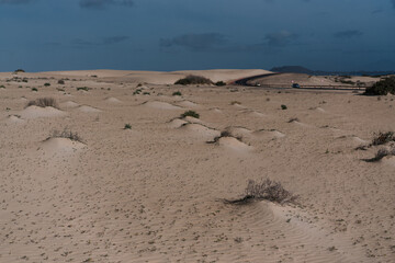 Obraz premium Vast sandy landscape with low dunes under a muted sky.