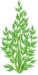 Fototapeta premium bamboo leaves isolated on white background