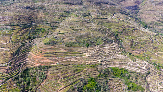 Aerial view of terraces carved into the verdant hillside, a testament to human cultivation against the backdrop of rugged terrain, Cabezuela del Valle, Extremadura, Spain.