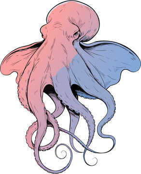 Cute Dumbo Octopus with Large Ear Like Fins and Rounded Body