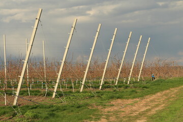Obraz premium A group of tall metal poles