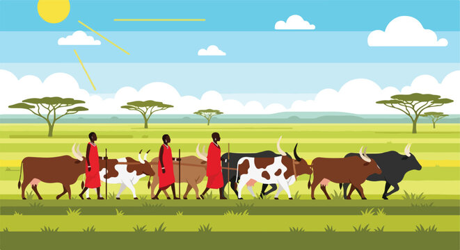 Maasai tribesmen in red robes herding cattle across a sunny savanna with acacias