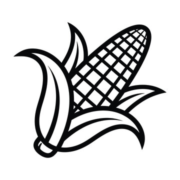 Black and white vector illustration of an ear of corn with husks zea mays sweet corn cob food and drink