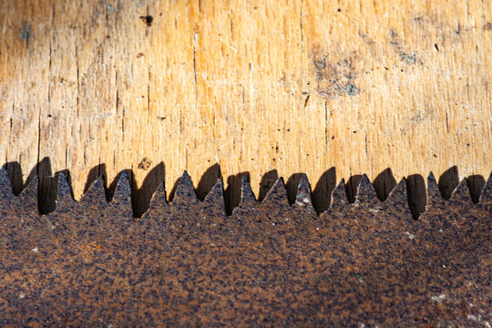 Gros plan sur les dents d'une vieille scie rouill&eacute;e sur une planche de bois.