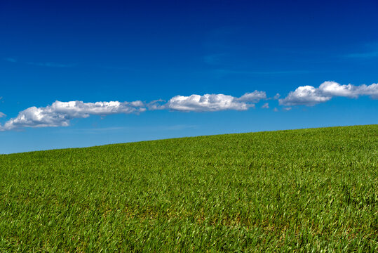 Collina con prato verde e sfondo con cielo blu e nuvolette 