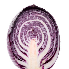 Obraz premium Half of Fresh Raw Red Cabbage Isolated on White Background
