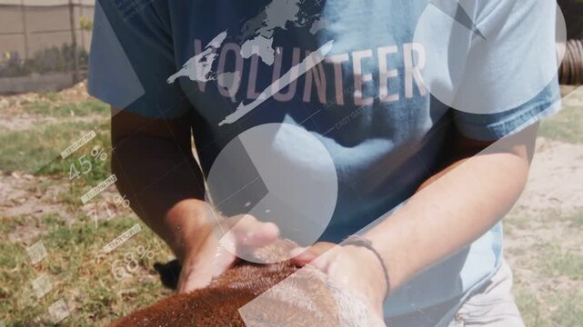 Rescue volunteer approaching dog, inspecting collar and calming pet while graphics overlaying dog