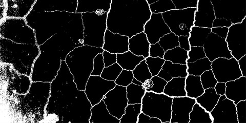 Obraz premium grunge texture of a cracked, weathered concrete wall in black and white monochrome. surface features intricate fracture patterns spreading organically across aged plaster.