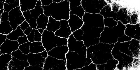 Fototapeta premium grunge texture of a cracked, weathered concrete wall in black and white monochrome. surface features intricate fracture patterns spreading organically across aged plaster.