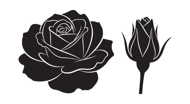 Black silhouette of a blooming rose and a rosebud